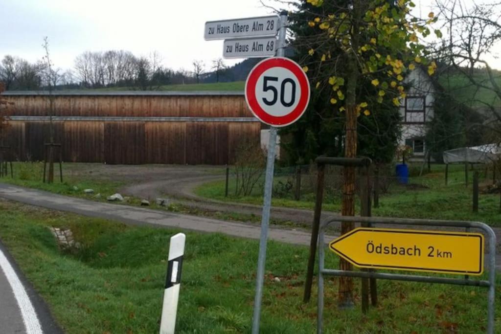 Wohnung Am Fusse Des Schwarzwalds Oberkirch  Dış mekan fotoğraf