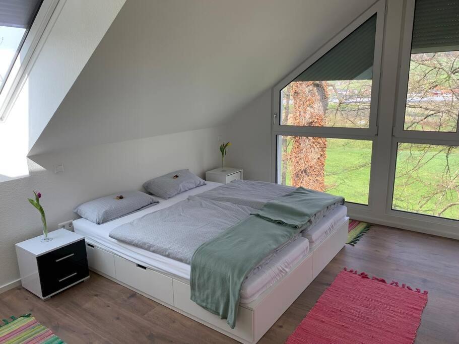 Wohnung Am Fusse Des Schwarzwalds Oberkirch  Dış mekan fotoğraf