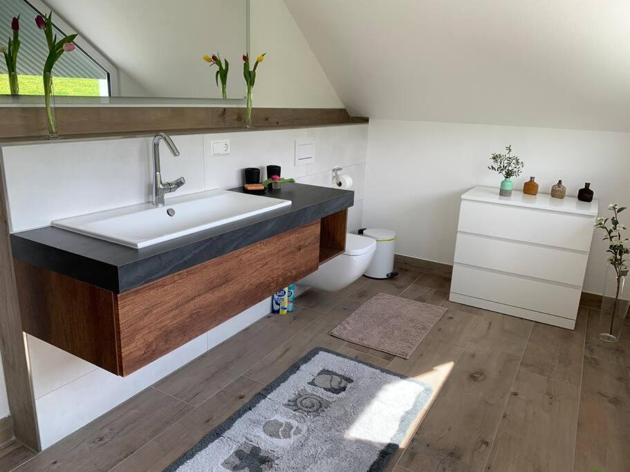 Wohnung Am Fusse Des Schwarzwalds Oberkirch  Dış mekan fotoğraf